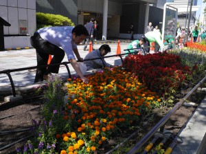 花がら摘み②