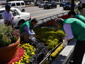 花がら摘み①