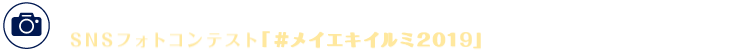 カメラマークの付いたビルのクリスマス装飾とその周辺のイルミネーションは、SNS フォトコンテスト「メイエキイルミ2019」の応募対象になります。