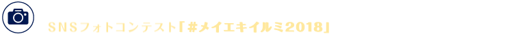 カメラマークの付いたビルのクリスマス装飾とその周辺のイルミネーションは、SNS フォトコンテスト「メイエキイルミ2018」の応募対象になります。