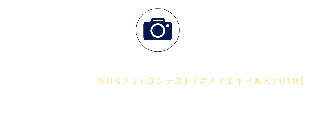 カメラマークの付いたビルのクリスマス装飾とその周辺のイルミネーションは、SNS フォトコンテスト「メイエキイルミ2018」の応募対象になります。