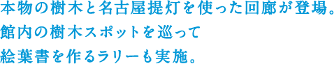 本物の樹木と名古屋提灯を使った回廊が登場。 館内の樹木スポットを巡って絵葉書を作るラリーも実施。